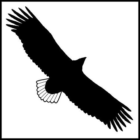 Logo Seeadlerrundweg