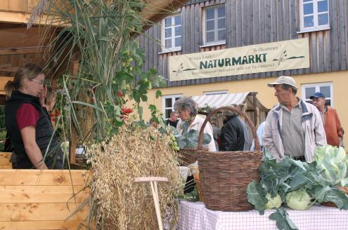 Herbst-Naturmarkt in Wartha