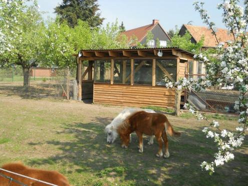 Ferienhaus "Zwei Linden"